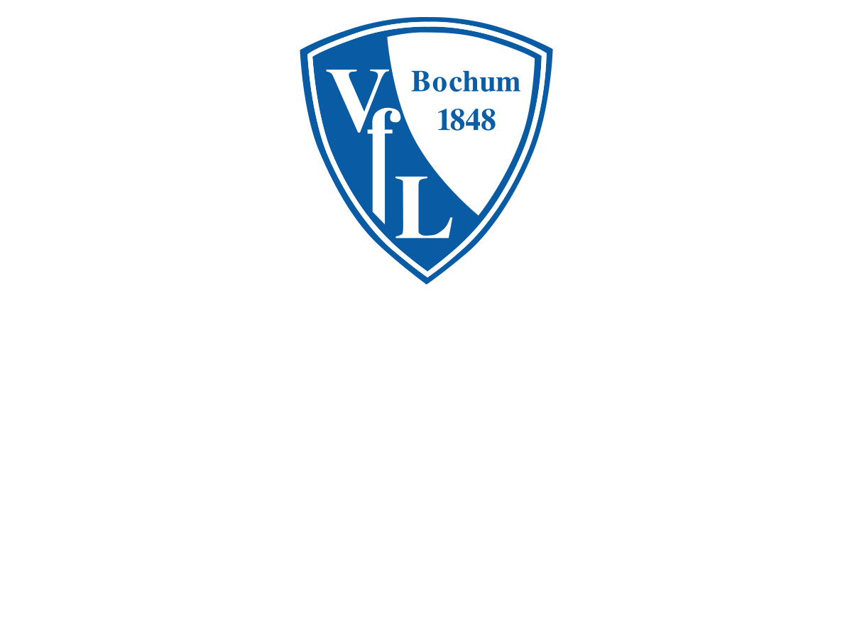 Vfl Bochum 1848 Netzwerk Partner Kubot Optik